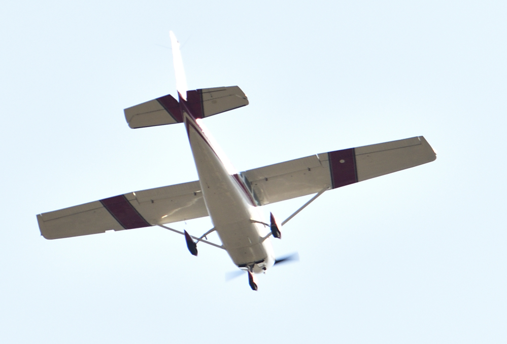 _ROY0695_00001.jpg