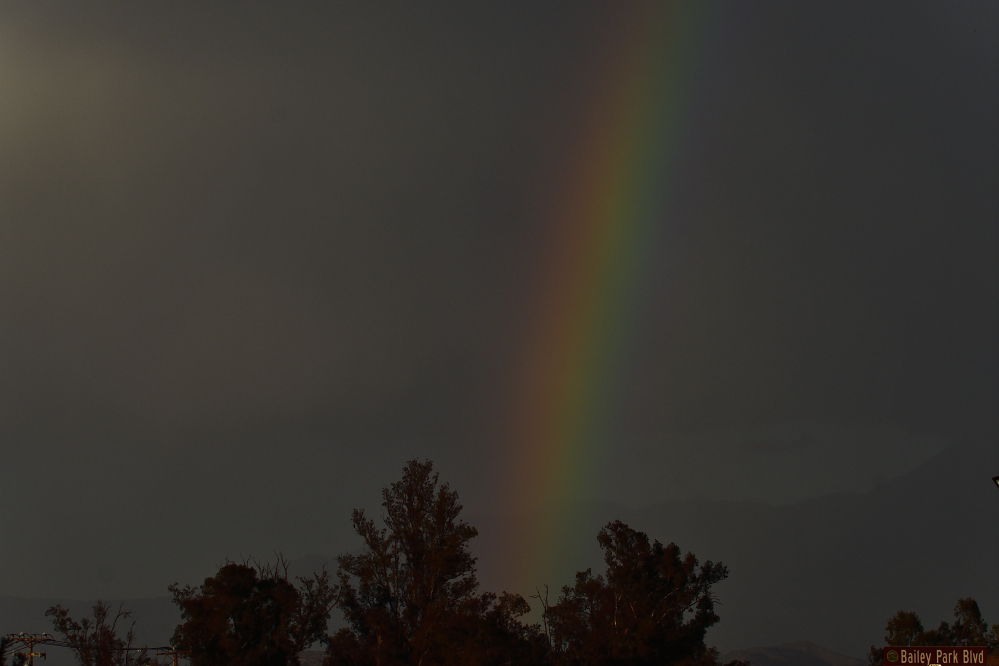 _ROY0807_00001.jpg