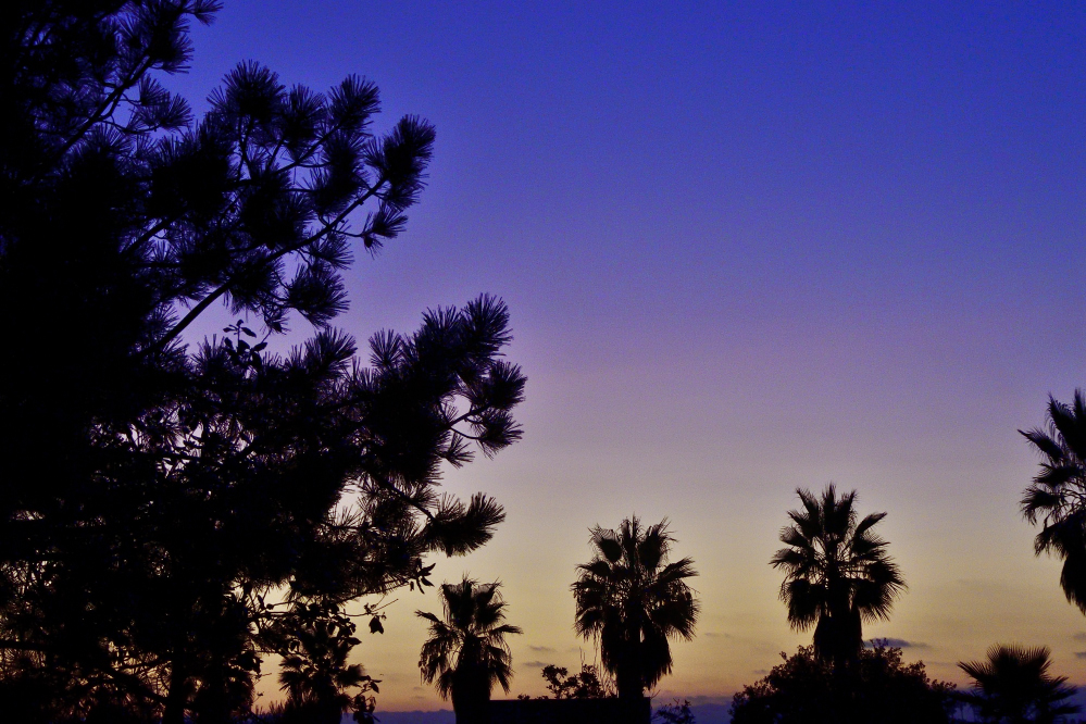 _ROY0941_00001_01.jpg