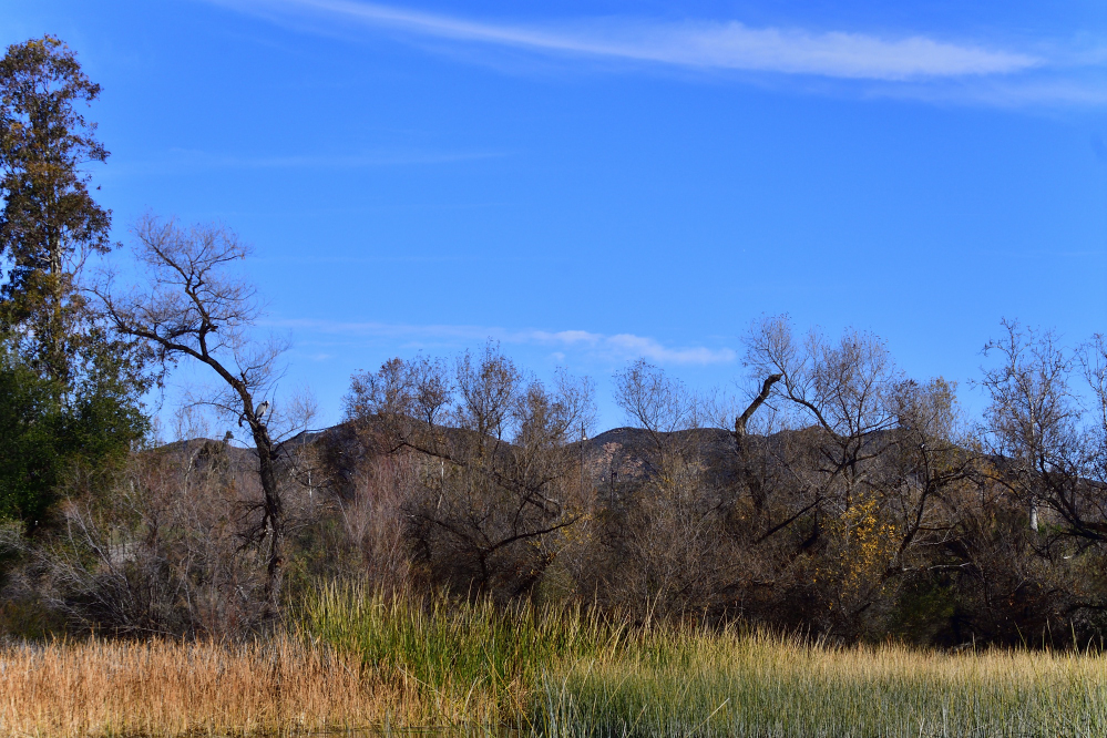 _ROY0945_00001_01.jpg