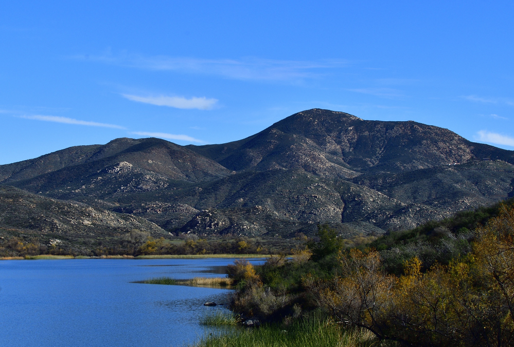_ROY0957_00001.jpg