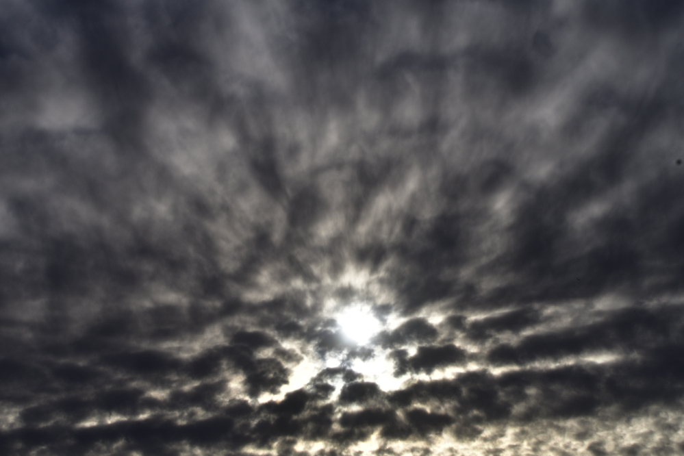 _ROY0983_00001.jpg