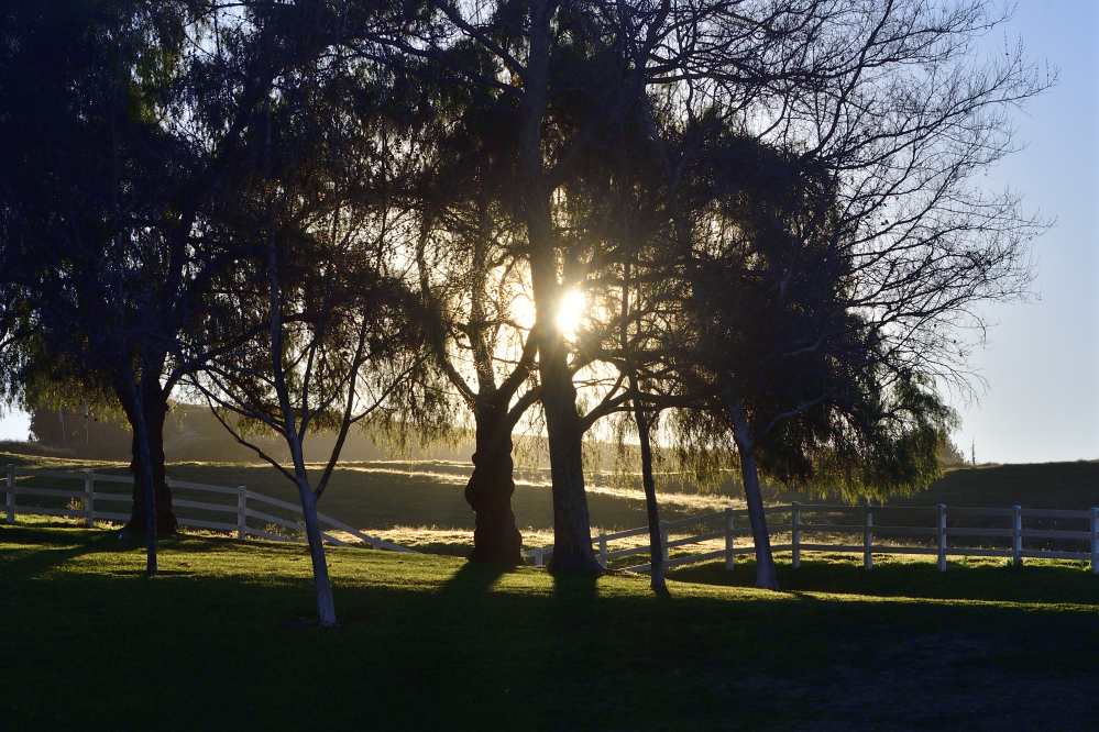 _ROY1172_00001.jpg