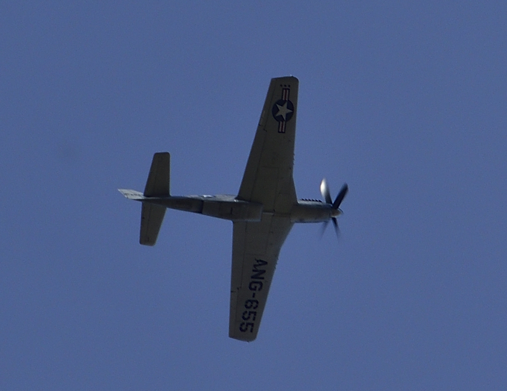 _ROY1494_00001.jpg