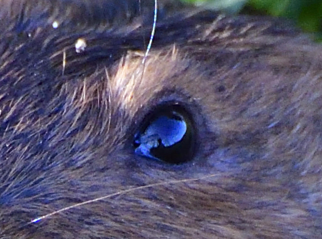 _ROY1538_00001.jpg