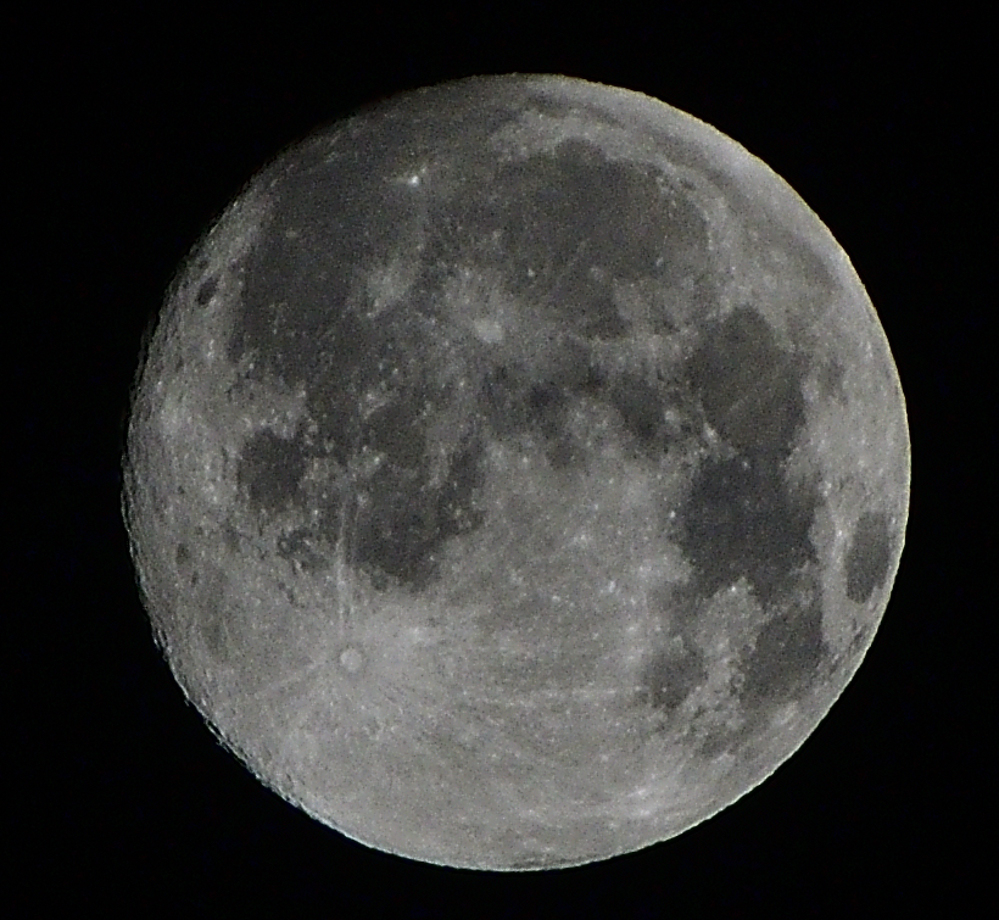 _ROY1635_00001.jpg