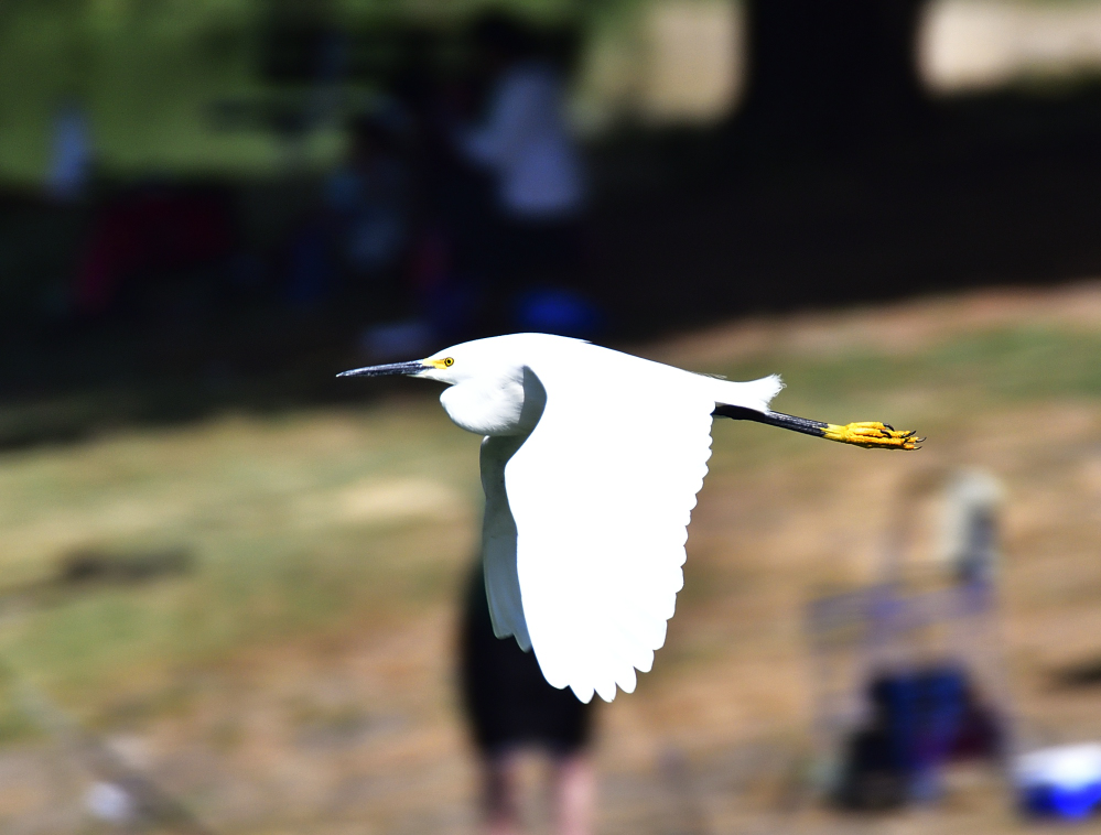 _ROY1699_00001.jpg