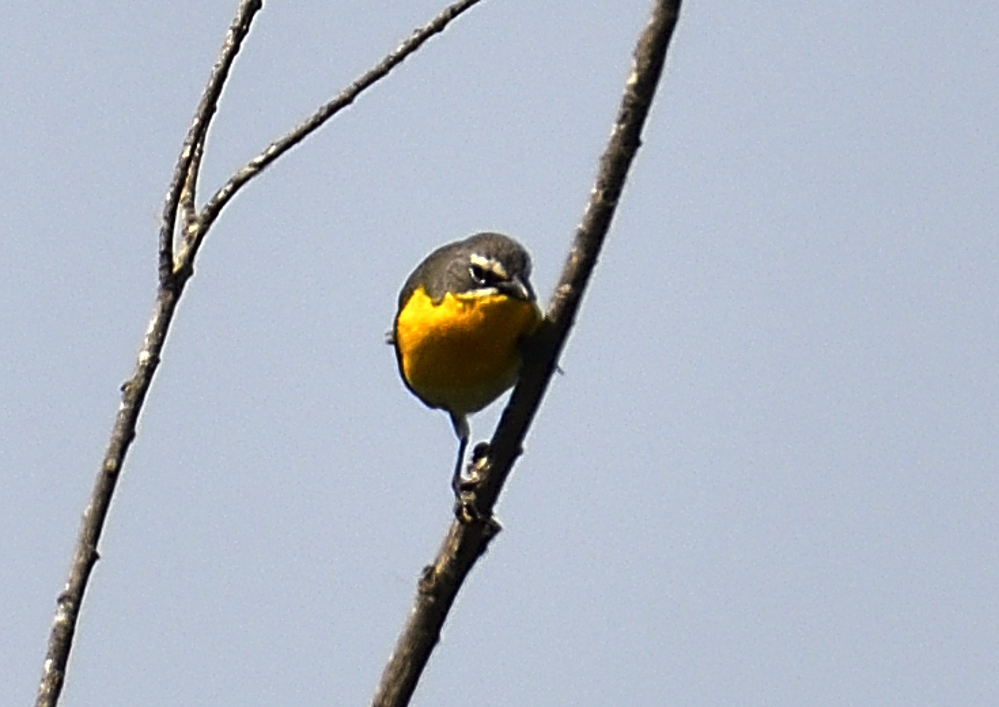 _ROY1719_00001.jpg