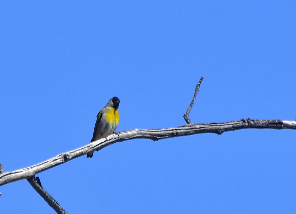 _ROY2008_00001_01.jpg