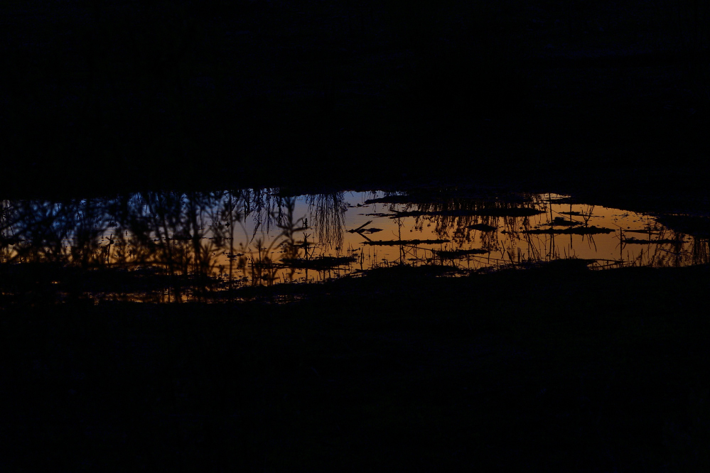 _ROY2032_00001_01.jpg