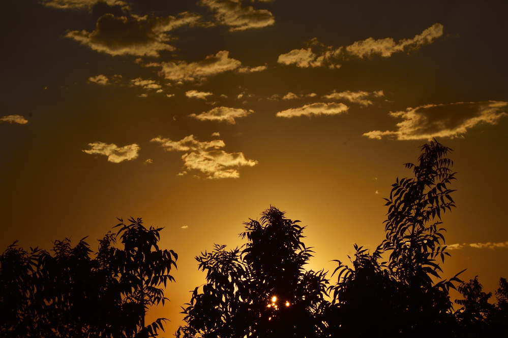 _ROY2202_00001.jpg