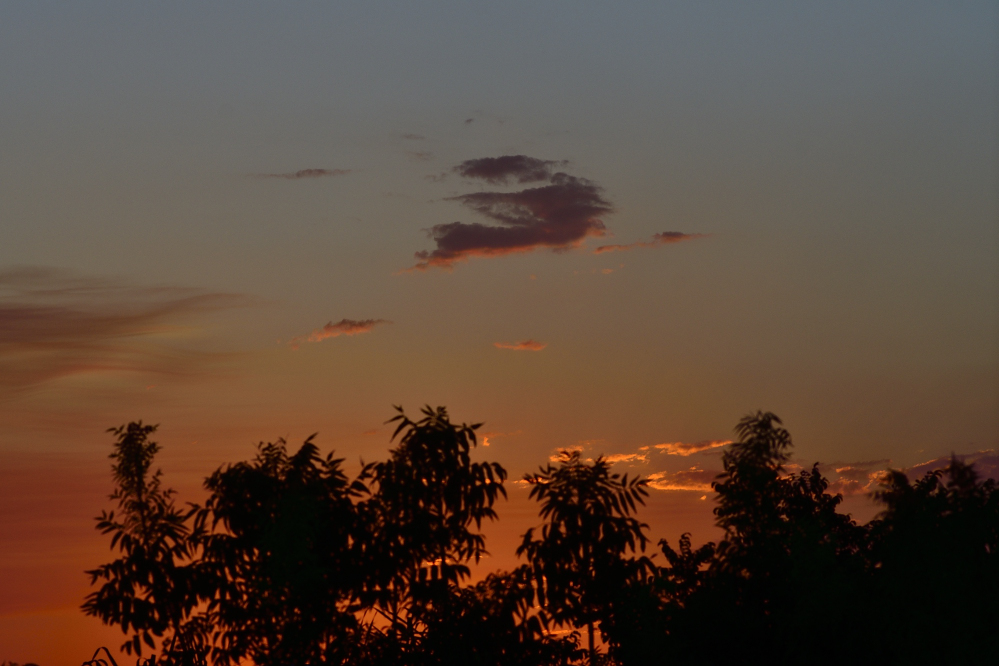 _ROY2214_00001.jpg