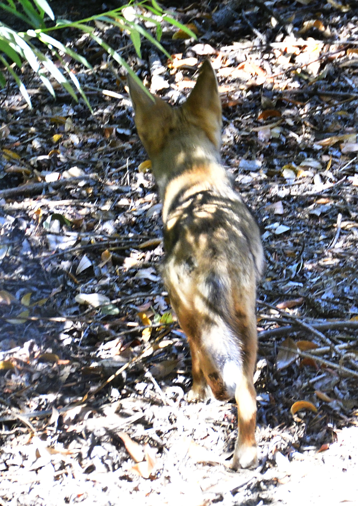 _ROY2261_00001.jpg