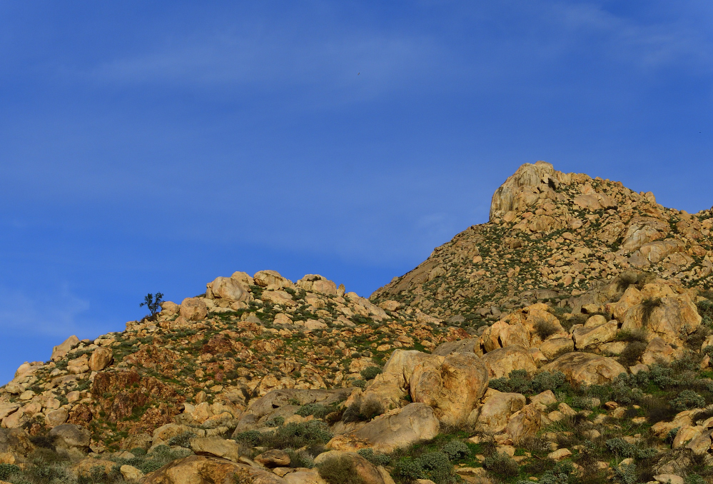 _ROY2275_00001.jpg
