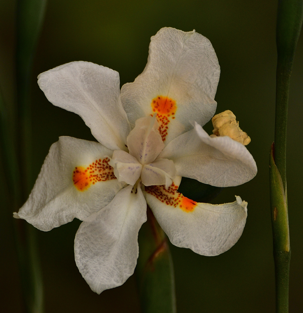 _ROY2356_00001.jpg