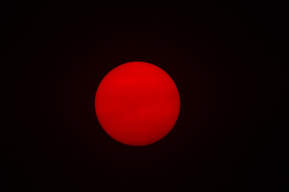 _ROY2363_00001_01.jpg