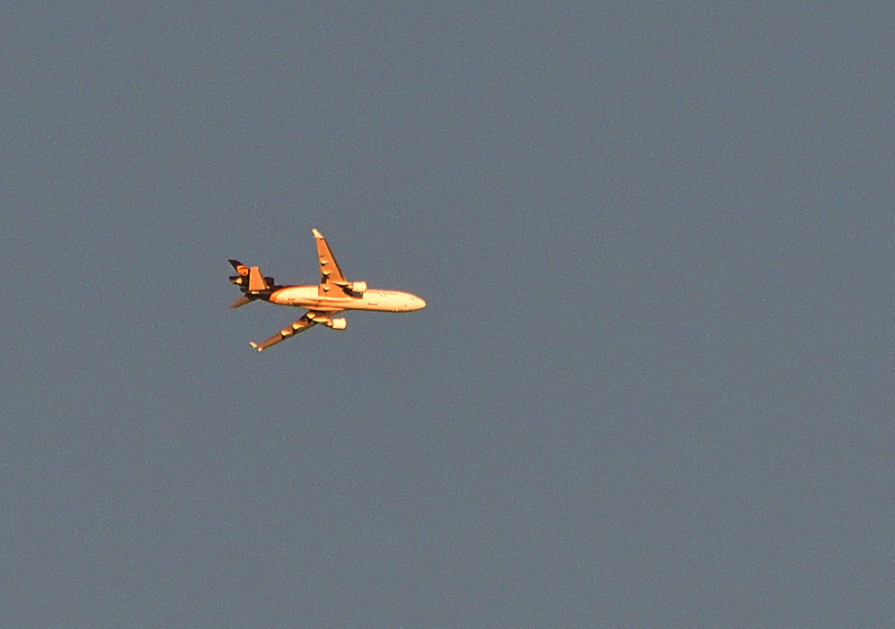 _ROY2534_00001.jpg