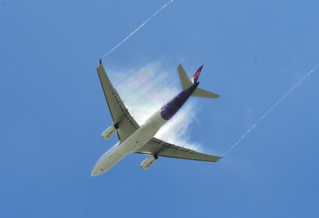 _ROY2536_01.jpg
