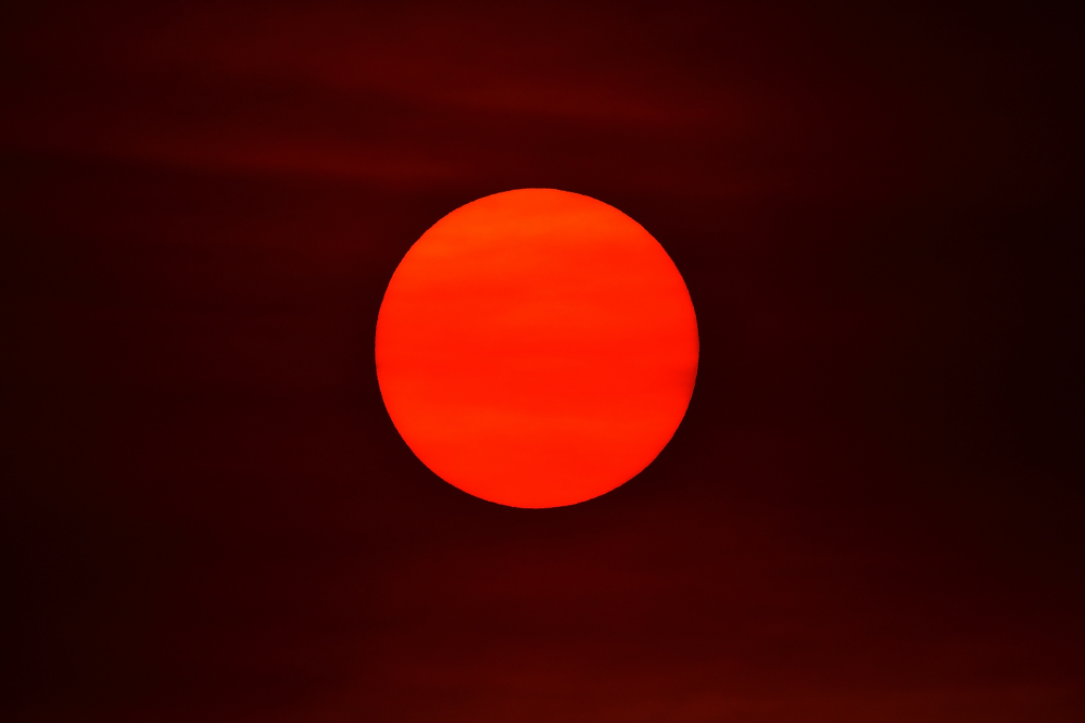 _ROY2546_00001.jpg