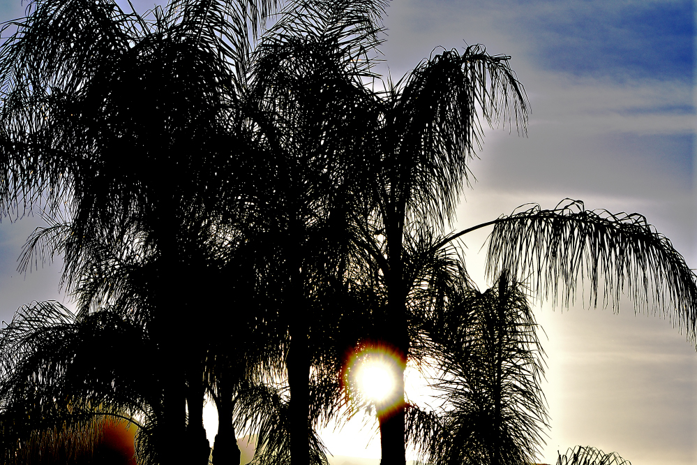 _ROY2561_00001_01.jpg