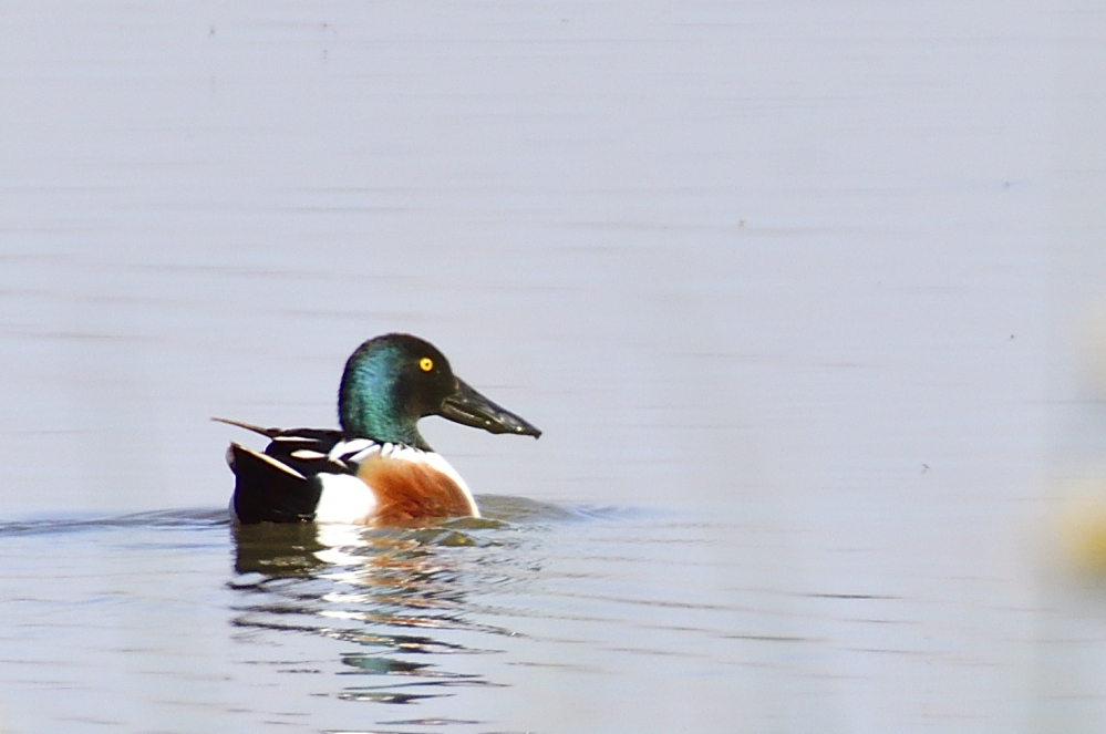 _ROY2594_00001.jpg