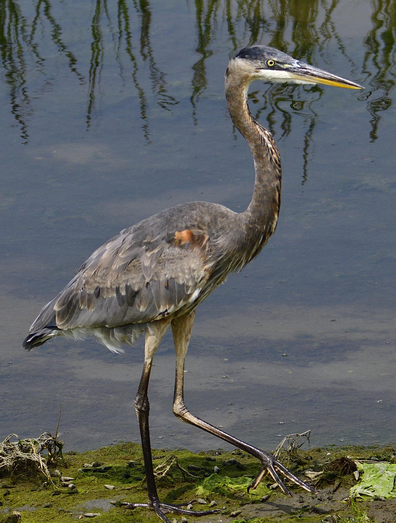 _ROY2637_00001.jpg