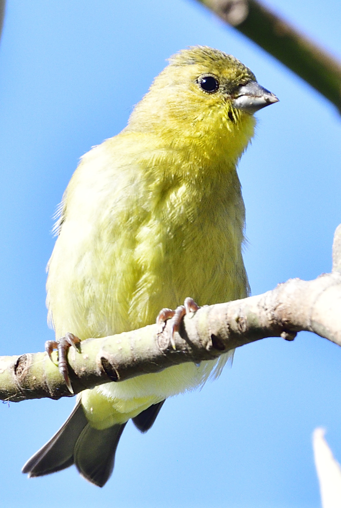 _ROY2639_00001.jpg