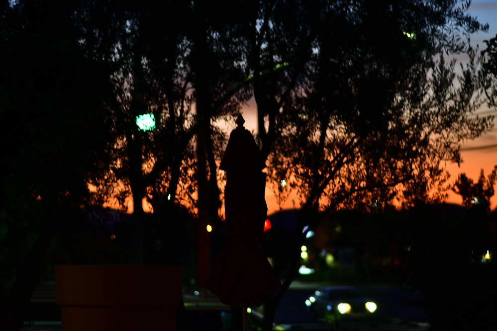 _ROY2749_01.jpg