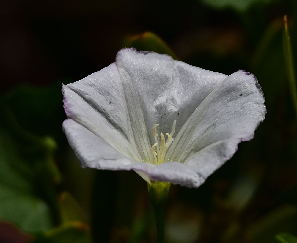 _ROY2771_00001.jpg