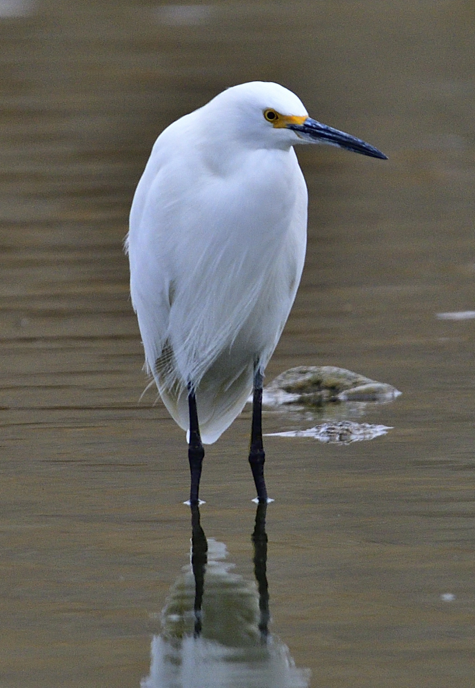 _ROY2834_00001.jpg