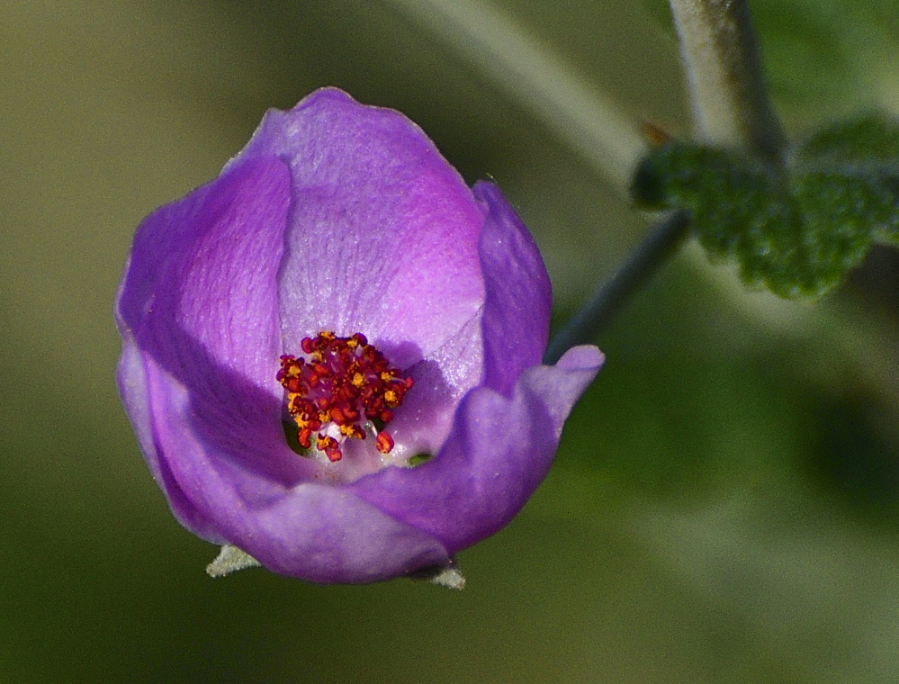 _ROY2844_00001.jpg