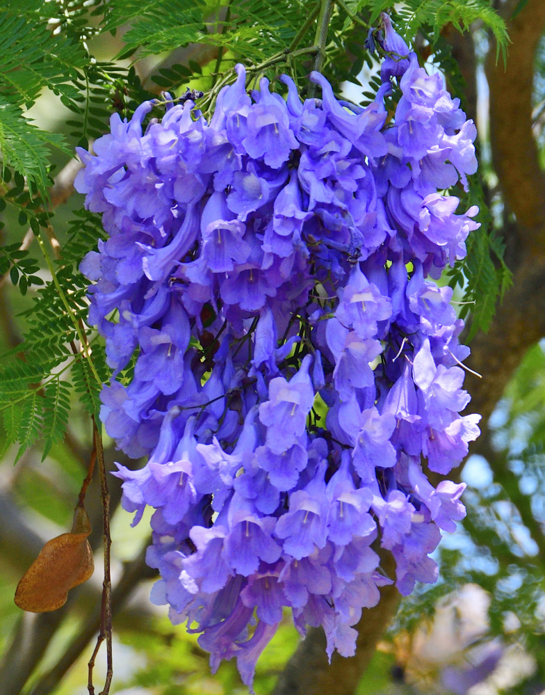 _ROY2846_00001.jpg