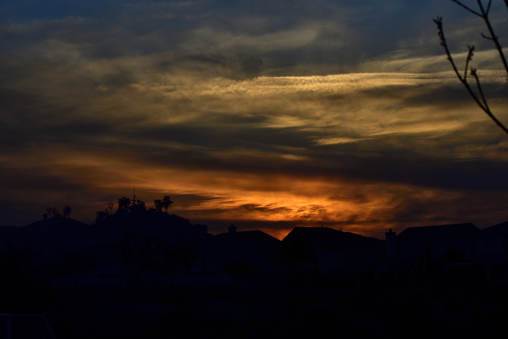 _ROY2863_00001.jpg