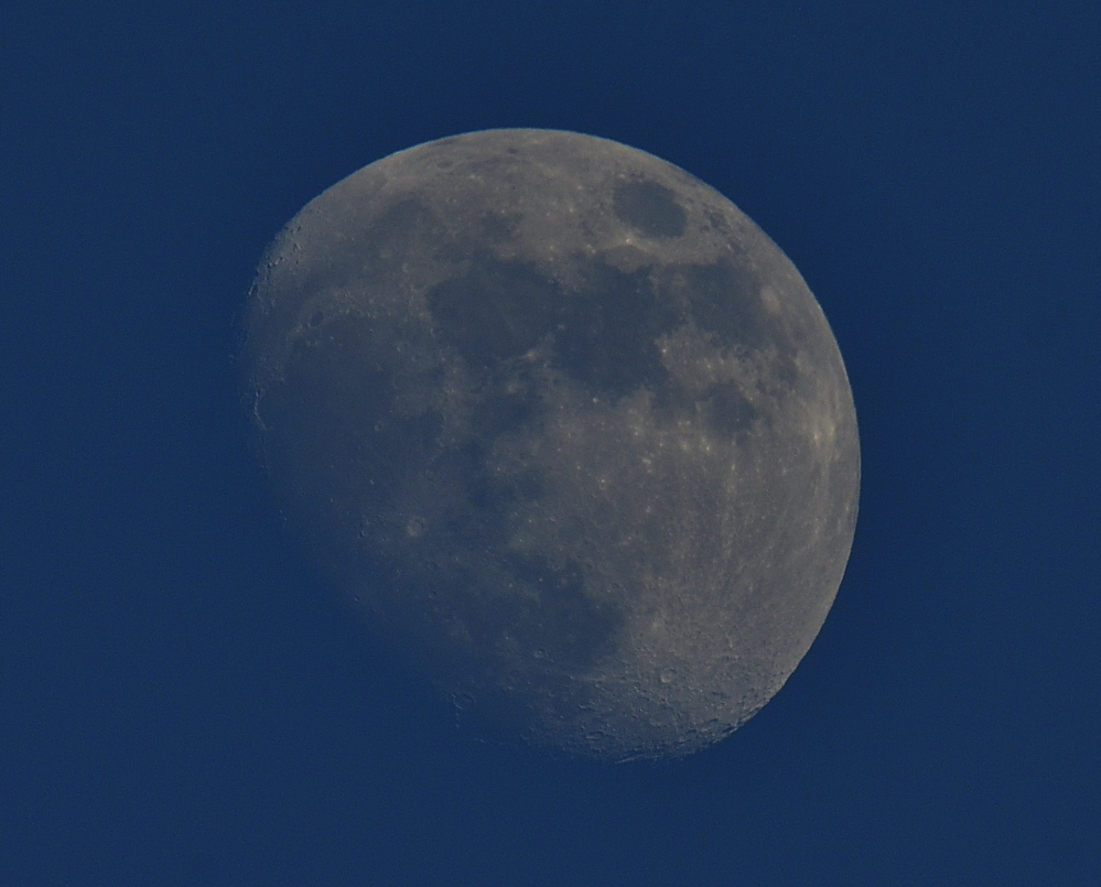 _ROY2903_00001.jpg