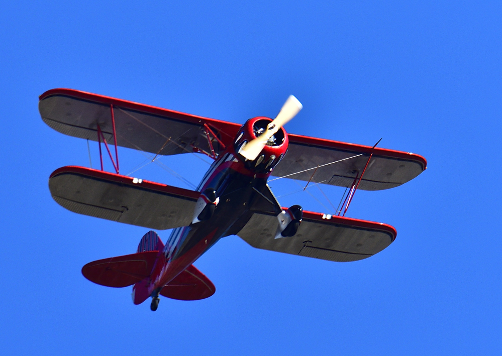 _ROY2952_00001_01.jpg