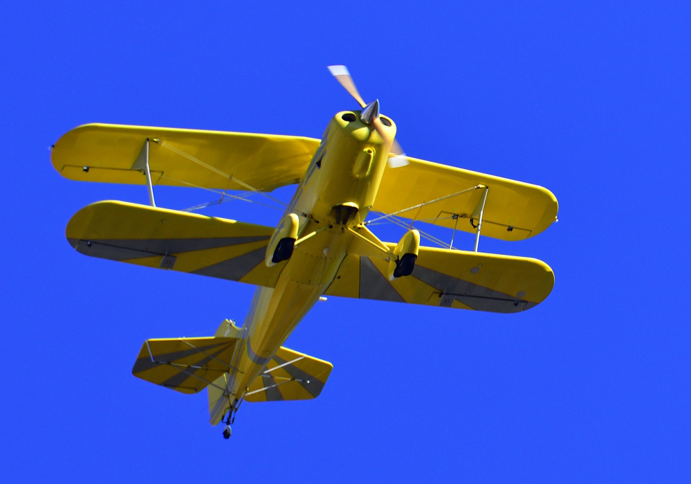 _ROY2955_00001.jpg