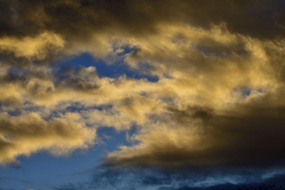 _ROY3173_00001.jpg