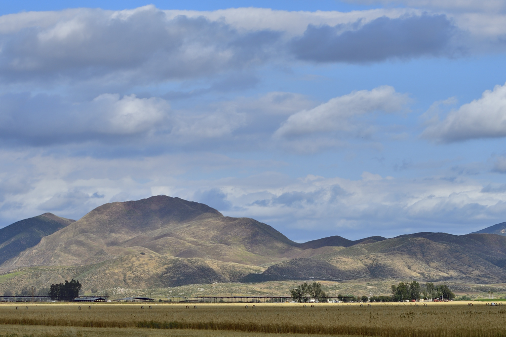 _ROY3176_00001.jpg