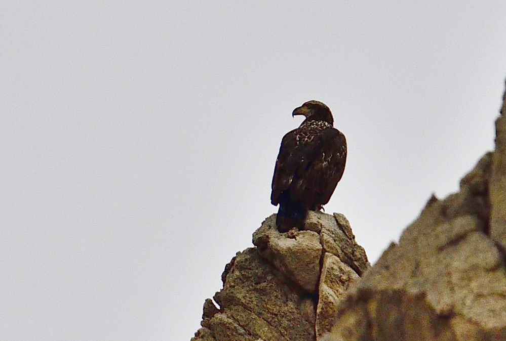 _ROY3193_00001.jpg