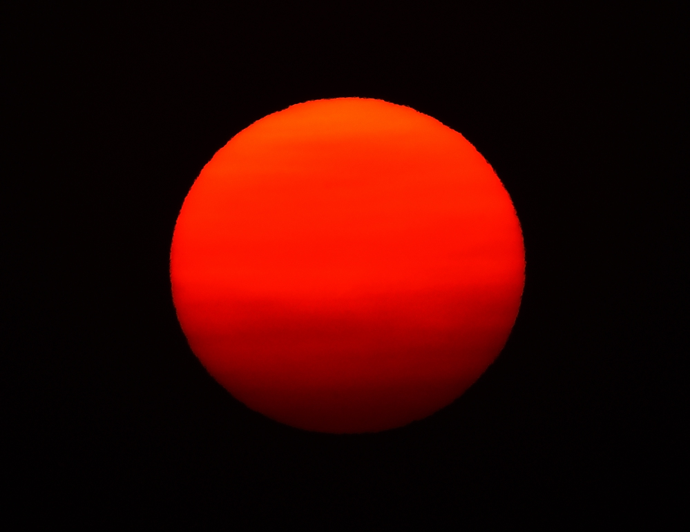 _ROY3229_00001.jpg
