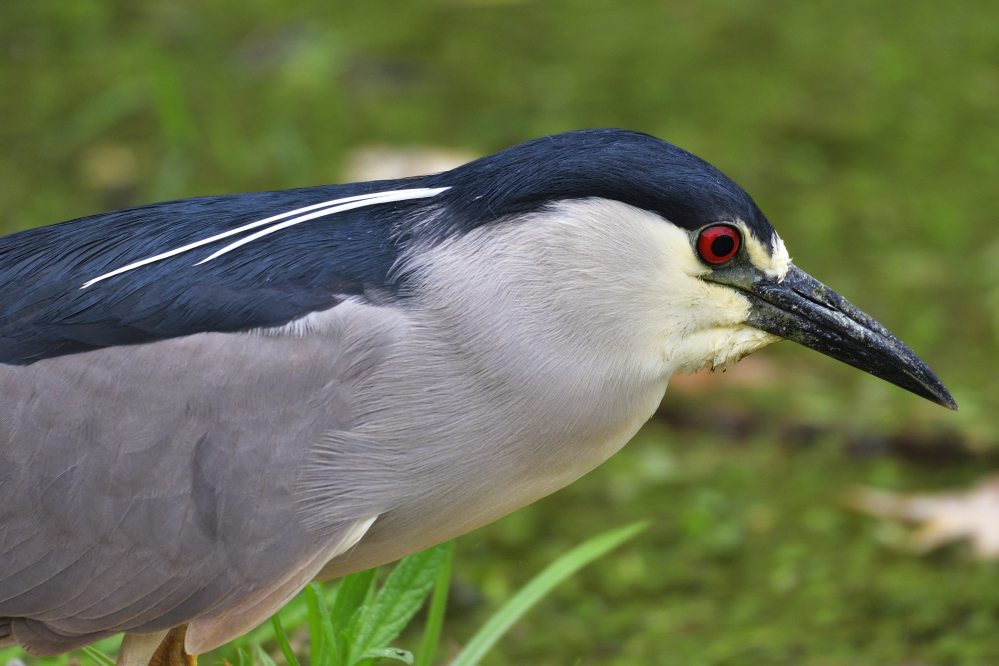 _ROY3282_00001.jpg