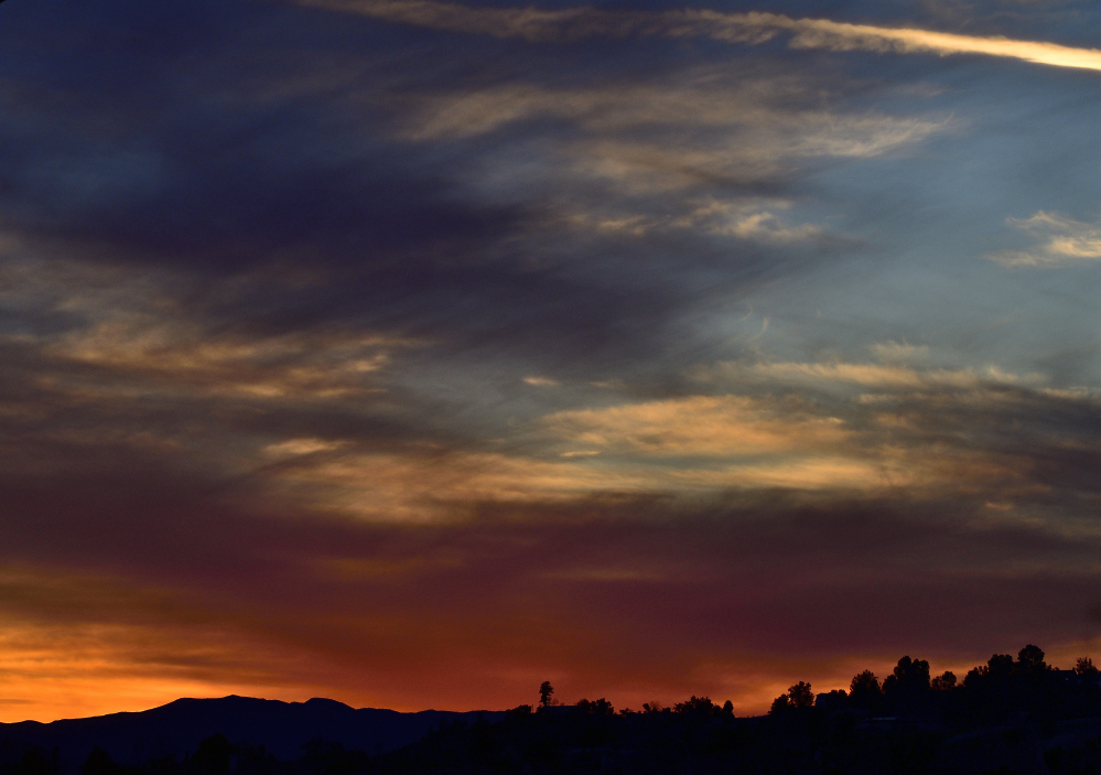 _ROY3348_00001.jpg