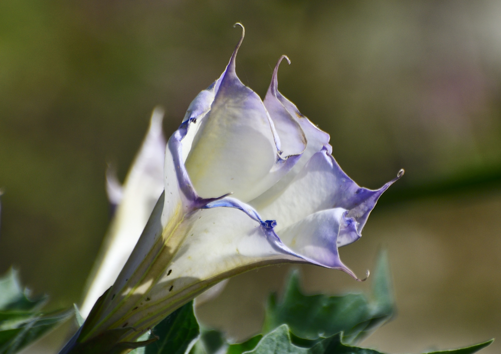_ROY3360_00001.jpg