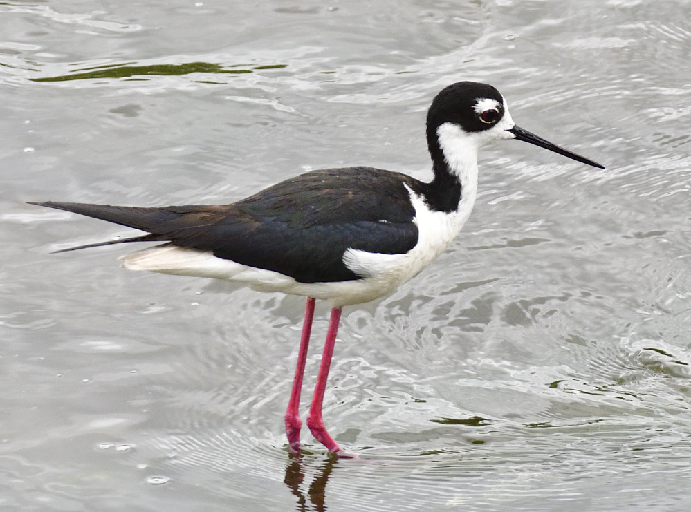 _ROY3486_00001_01.jpg