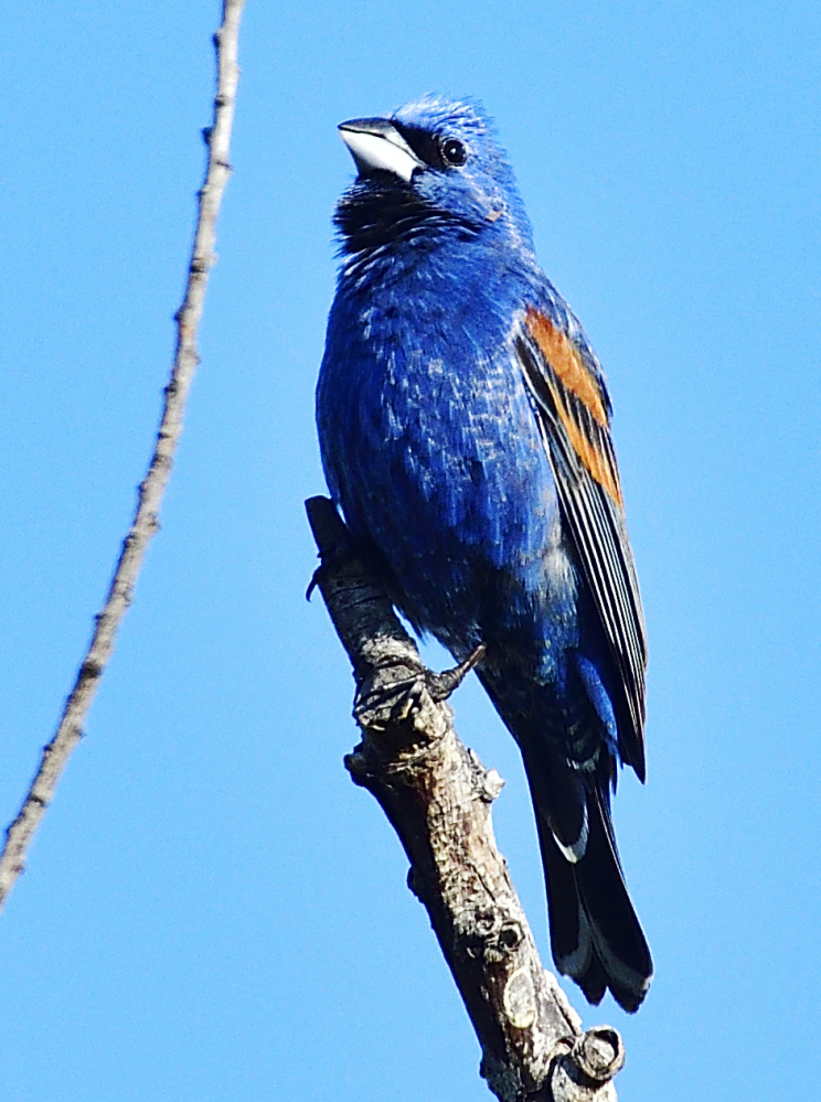 _ROY3546_00001.jpg