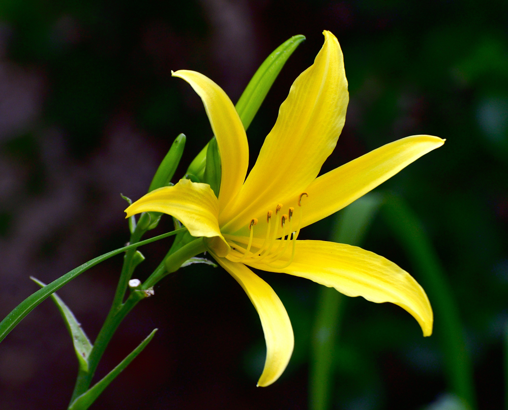 _ROY3546_01.jpg