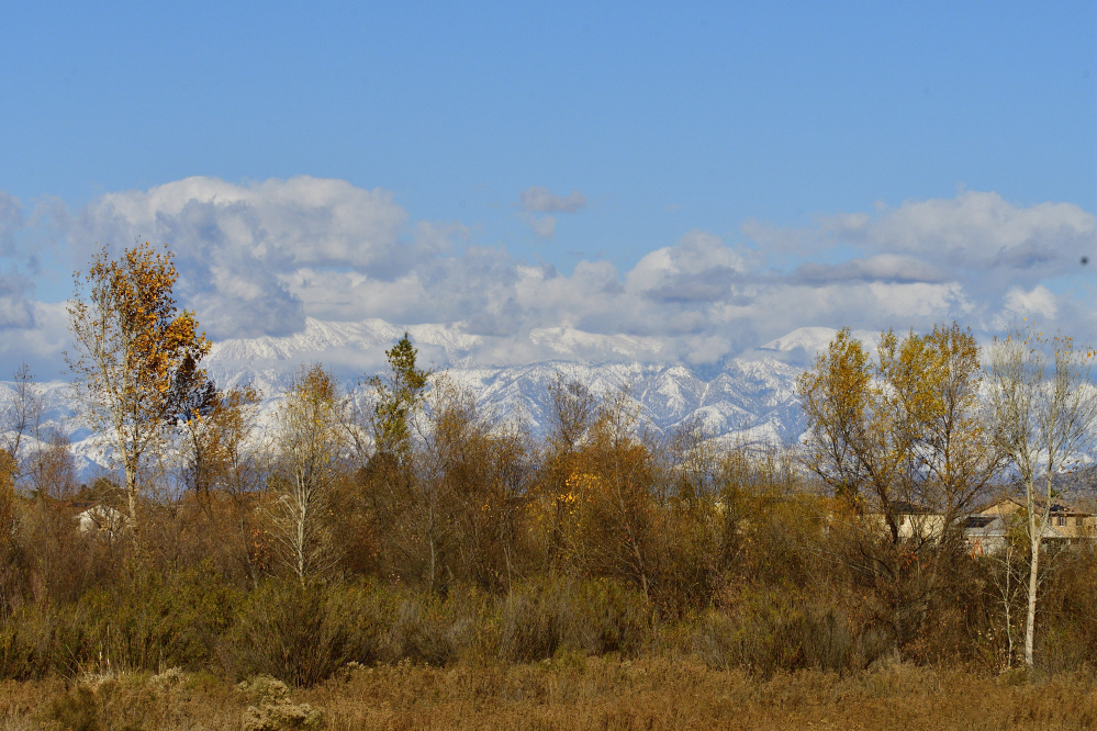 _ROY3563_00001.jpg