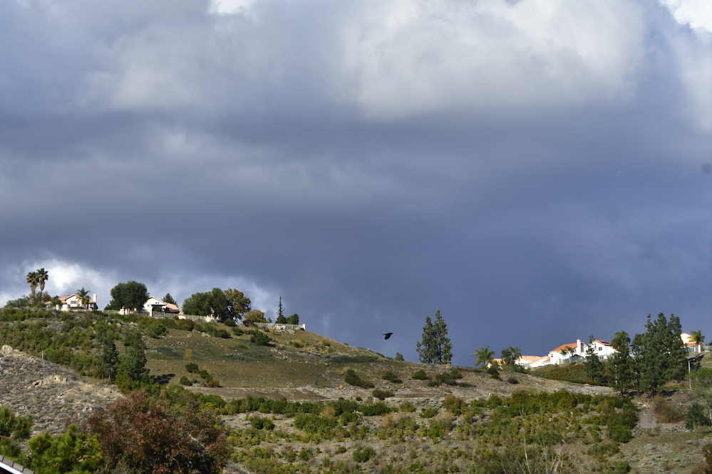 _ROY3689_00001.jpg