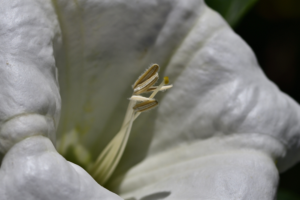 _ROY3738_00001.jpg