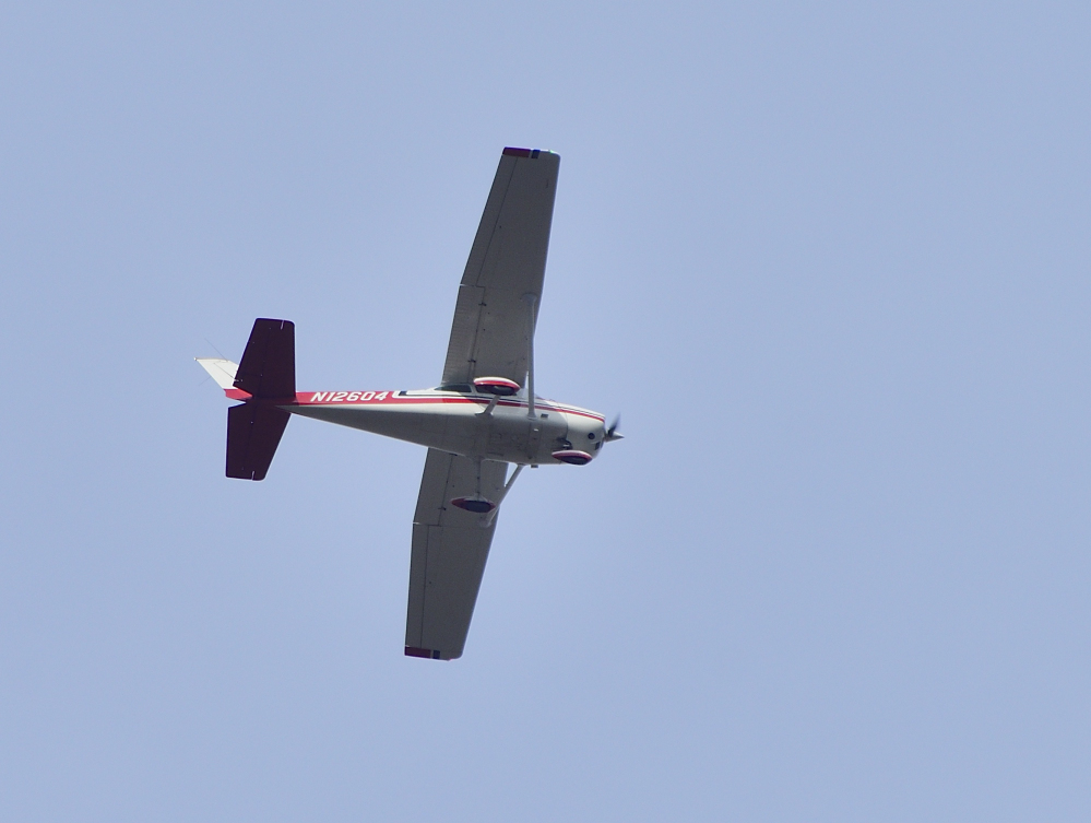 _ROY3740_00001.jpg